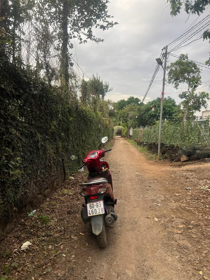 Nhà Cấp 4 250m² Sát Suối Mơ, Tân Phú - Giá 320 Triệu