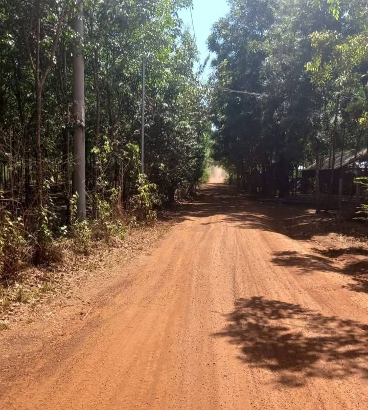 Bán gấp 9ha Cao su đẹp Bình Phước - Giá 1.9 tỷ/ha