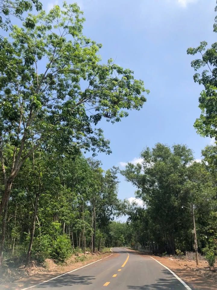 Đất Sào 1125m² Mặt Tiền Minh Thắng, Bình Phước - Sổ Hồng Sẵn Sàng