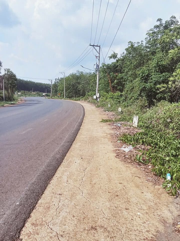 Đất Thổ Cư 115m² Bù Đốp, Bình Phước - Giá 16.1 Tỷ, Sổ Hồng Sẵn Sàng