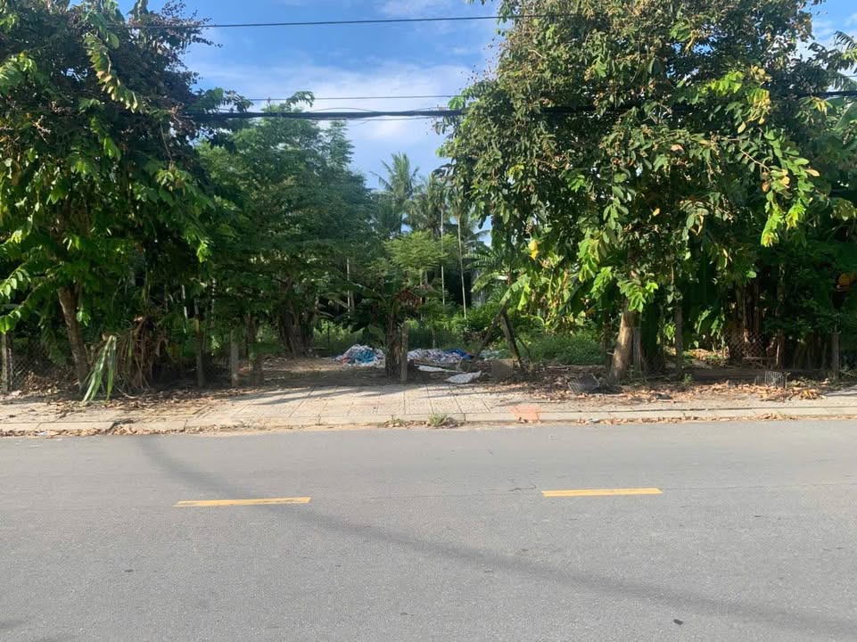 Đất Hội An 1073m² Mặt Tiền Nguyễn Tri Phương - Đầu Tư Sinh Lời