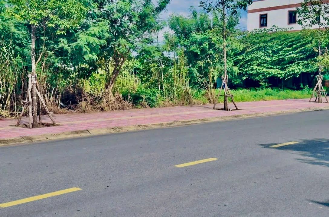 Đất Nền Nguyễn Trãi Gò Công 115m² - Sổ Hồng Riêng, Giá 2.8 Tỷ