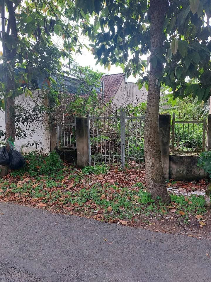 Đất Nền Mặt Tiền Phú Nhuận Bến Tre - 138m² Giá 950 Triệu - Sẵn Sổ Đỏ