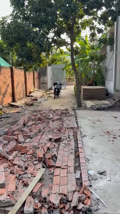 Nhà Nguyên Căn Mặt Tiền Mạc Đĩnh Chi, Long Điền - Sân Vườn Rộng, Giá Chỉ 3 Triệu/Tháng