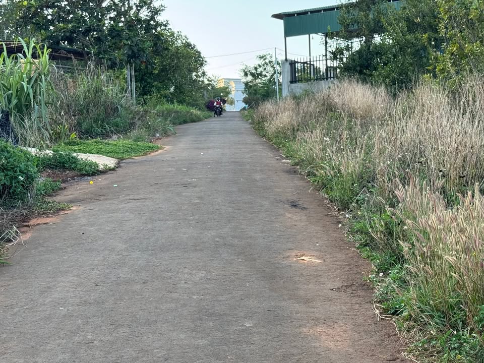 Đất Vườn Đắk Nông 1050m² - View Đẹp, Mặt Đường Nhựa Tuyệt Vời