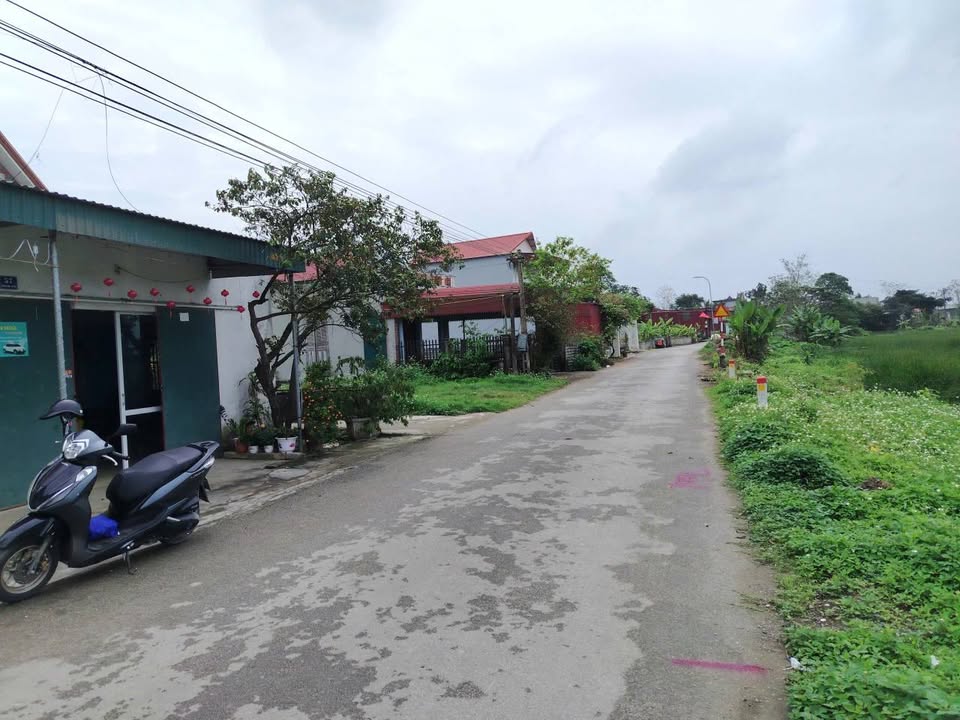 Đất Nền Quảng Ngọc 200m² Full Thổ Cư - Giá 950 Triệu