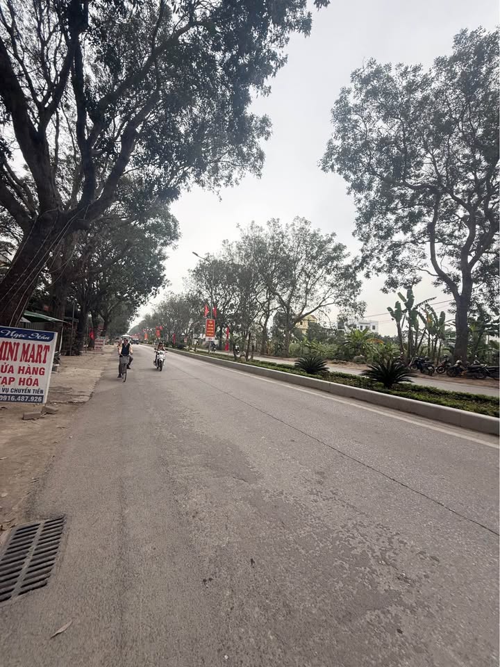 Đất Vườn Ninh Hải, Hoa Lư 308m² - Tiềm Năng Homestay Vượt Trội