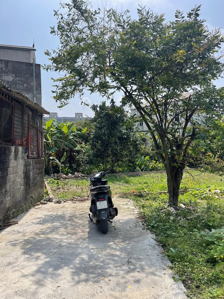 Đất nền Thanh Oai 170m² - Đầu tư sinh lời tại Tân Ước