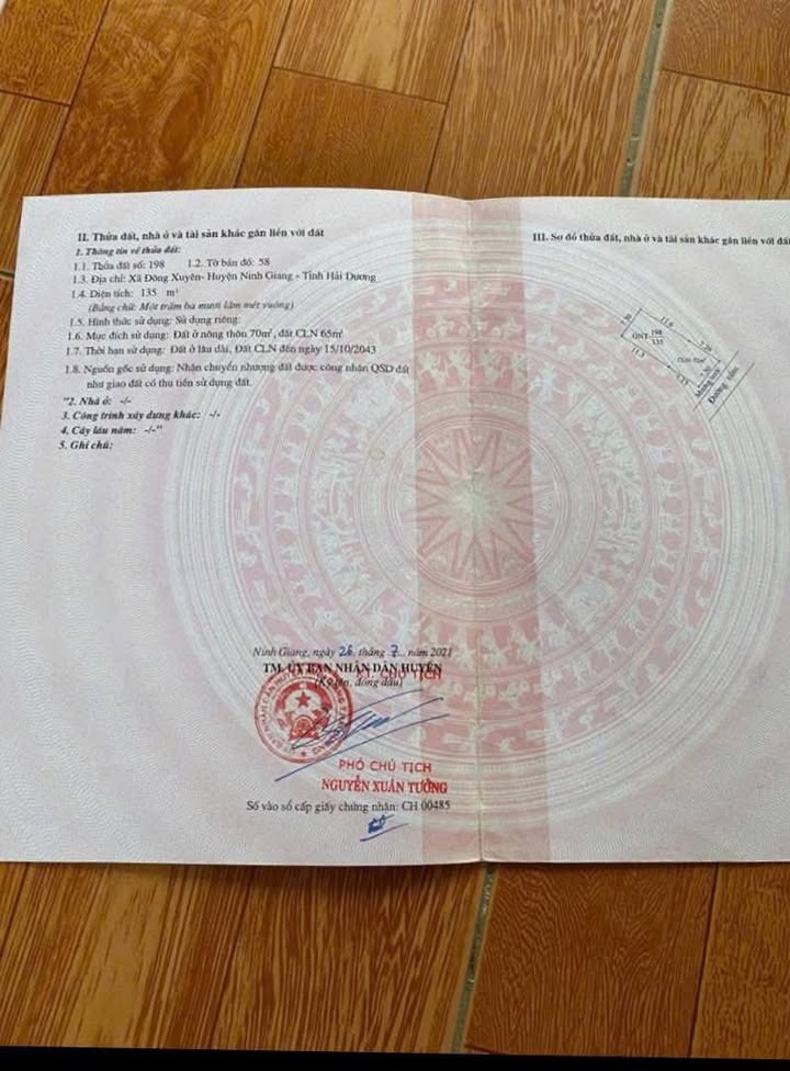 Đất nền Ninh Giang - Hải Dương 135m² Hướng Đông Nam - Sẵn Sàng Xây Biệt Thự Vườn