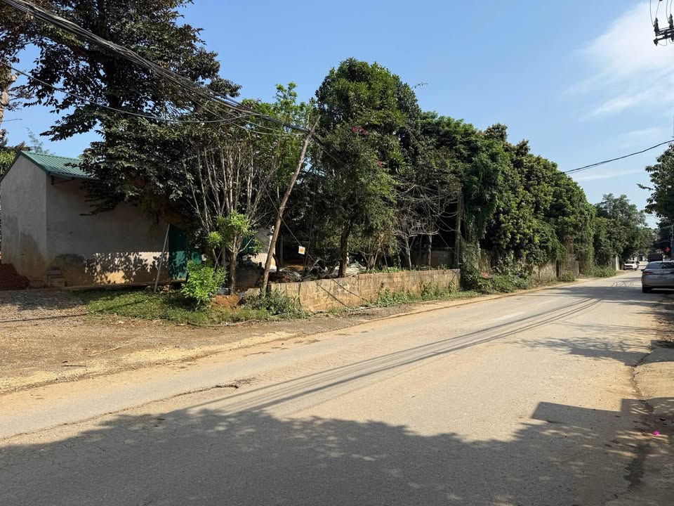 Đất Vàng 2045m² Mặt Tiền Trục Chính Phú Cát, Quốc Oai - Sổ Đỏ Sẵn Sàng