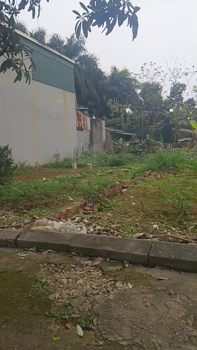 Đất thổ cư xã Tân Xã 184m² giá thoả thuận - Sổ đỏ chính chủ, xây dựng tự do