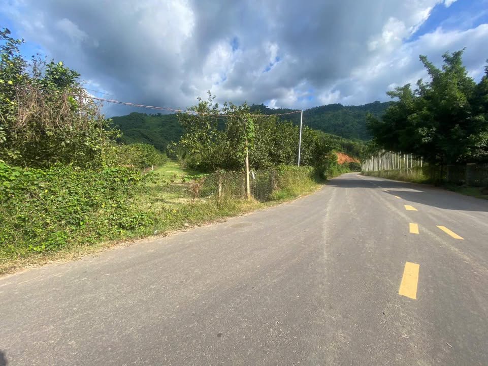 Đất Vườn 1000m² Mặt Tiền Yang Bay - Giá Hời, Sổ Đỏ Full Thổ Cư