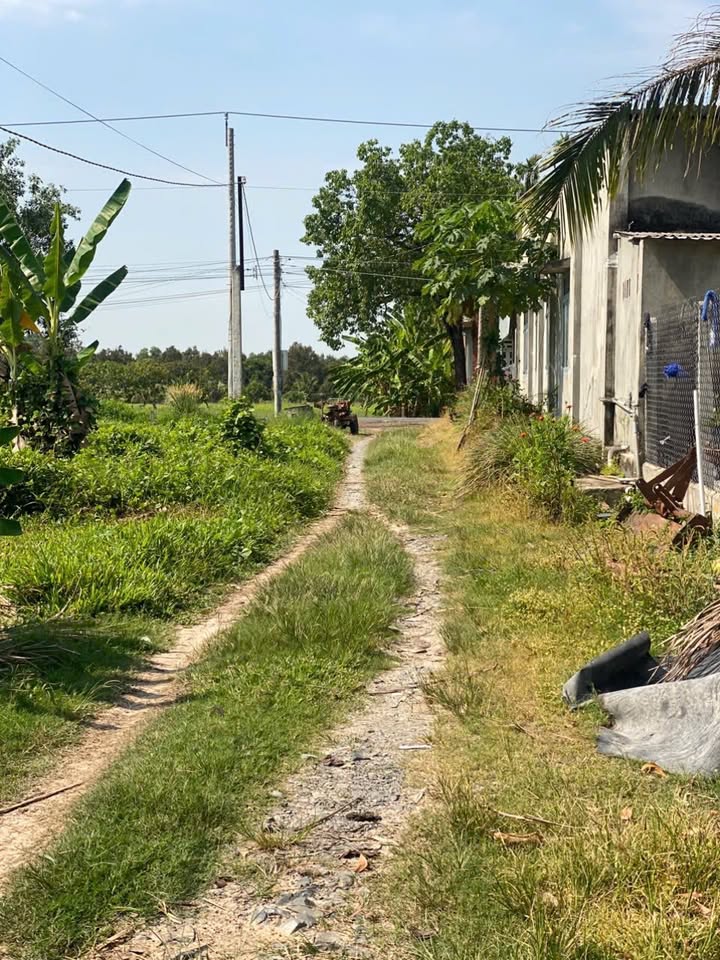 Đất Nền Gò Dầu, Tây Ninh - Sổ Hồng 50m² Giá F0 Chỉ 2.85 Tỷ