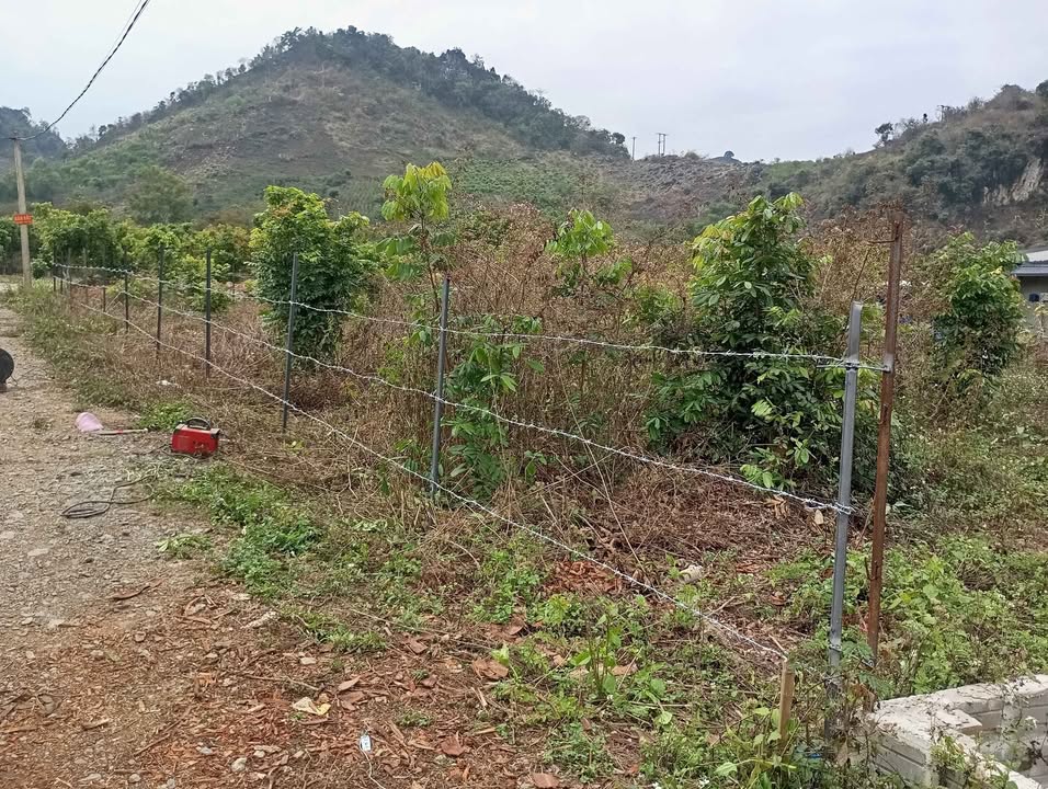 Bán Gấp Đất Vàng 480m² Mặt Tiền 30m - Sơn La, Sẵn Sàng Đầu Tư