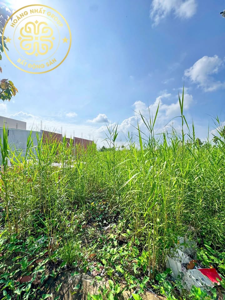 Đất nền KĐT Sao Mai Cà Mau 135m² - Mặt tiền Đường số 8, xây dựng ngay