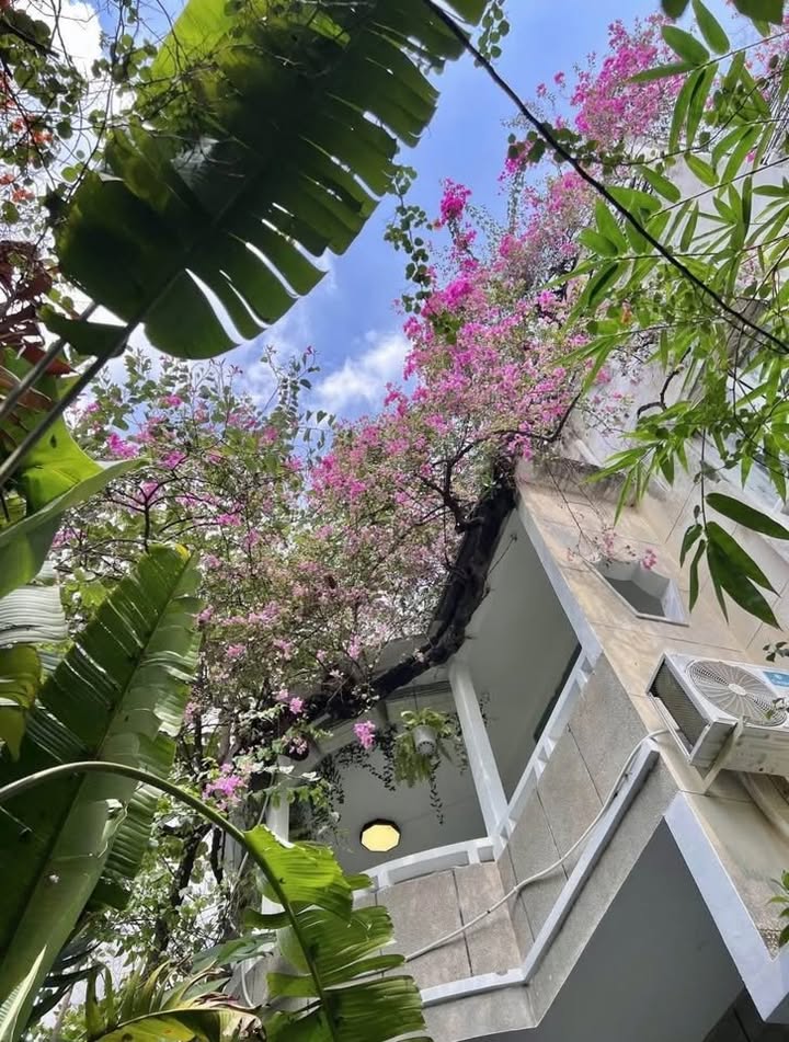 Cho thuê Biệt thự Sân Vườn Lê Văn Sỹ Q3 - 70 Triệu/tháng