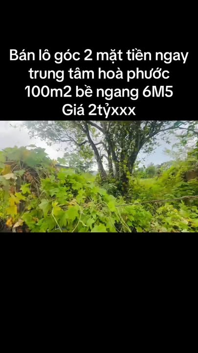 Bán Đất Góc 2 Mặt Tiền Hòa Xuân, Đà Nẵng - 100m², Giá 2 Tỷ Tốt Nhất