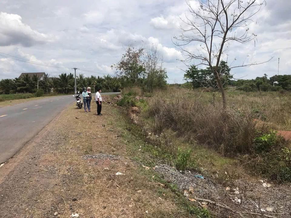 Đất Nền Mặt Tiền Tỉnh Lộ 1 Buôn Đôn - 1200m² Sổ Đỏ Thổ Cư, Giá Sốc 2.3 Tỷ