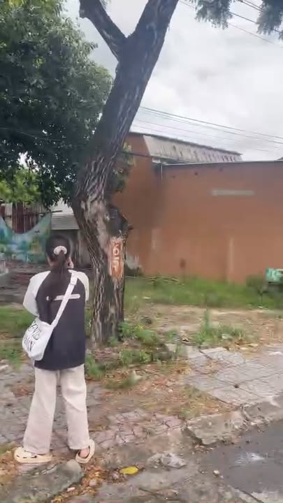 Đất Vàng Mặt Tiền Độc Lập, Phú Mỹ 1355m² - Giá Tốt Đầu Tư