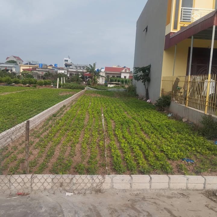 Đất Nền Giao Yến, Nam Định 143m² - Sổ Đỏ Sẵn Sàng Giao Dịch