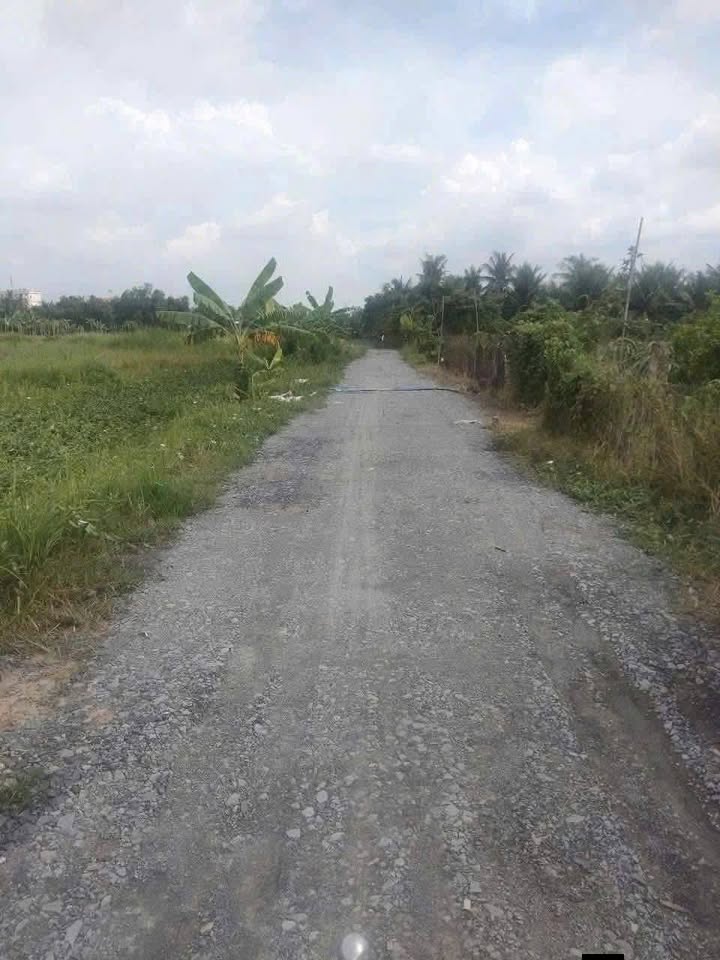 Đất Vườn 1000m² Phường 7 Tân An - Sẵn Sàng Nghỉ Dưỡng, Giá 950 Triệu