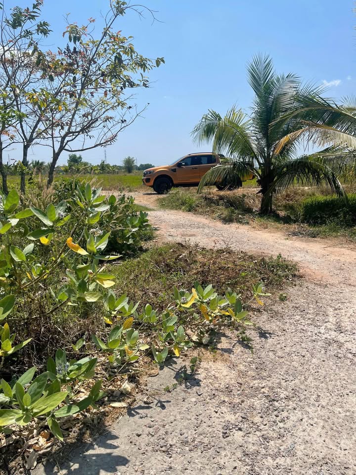 Đất Nền Hàm Thuận Bắc 4300m² Sổ Hồng Riêng - Giá Đầu Tư 10.3 Tỷ