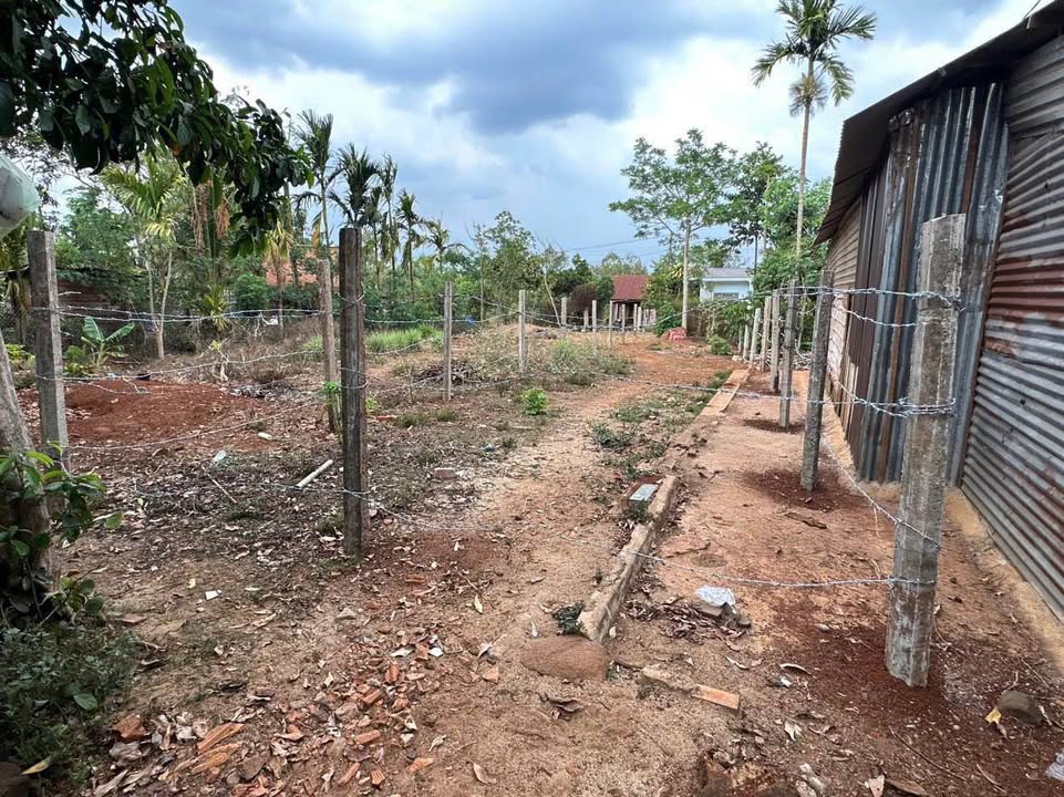 Đất nền Ea Ktur, Cư Kuin 180m² - 3 lô liền kề, giá chỉ 375 triệu/lô