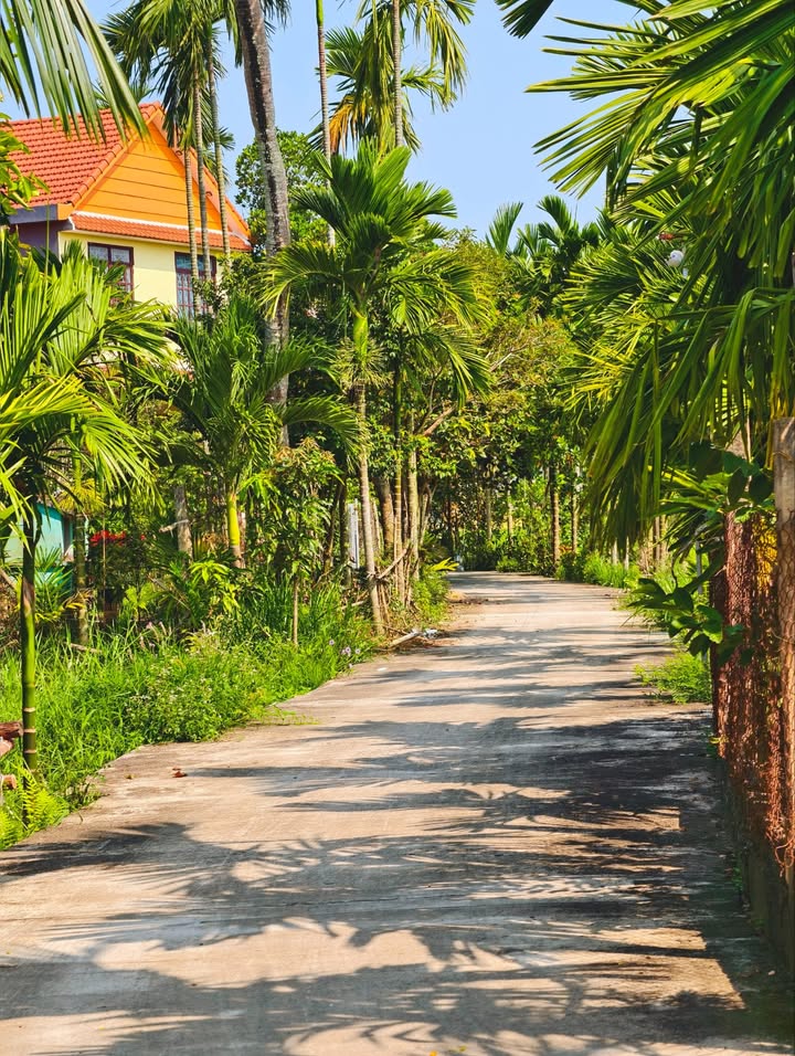 Đất Nền Hòa Khánh Bắc - 100m² Giá Tốt, Sẵn Sàng Xây Tổ Ấm