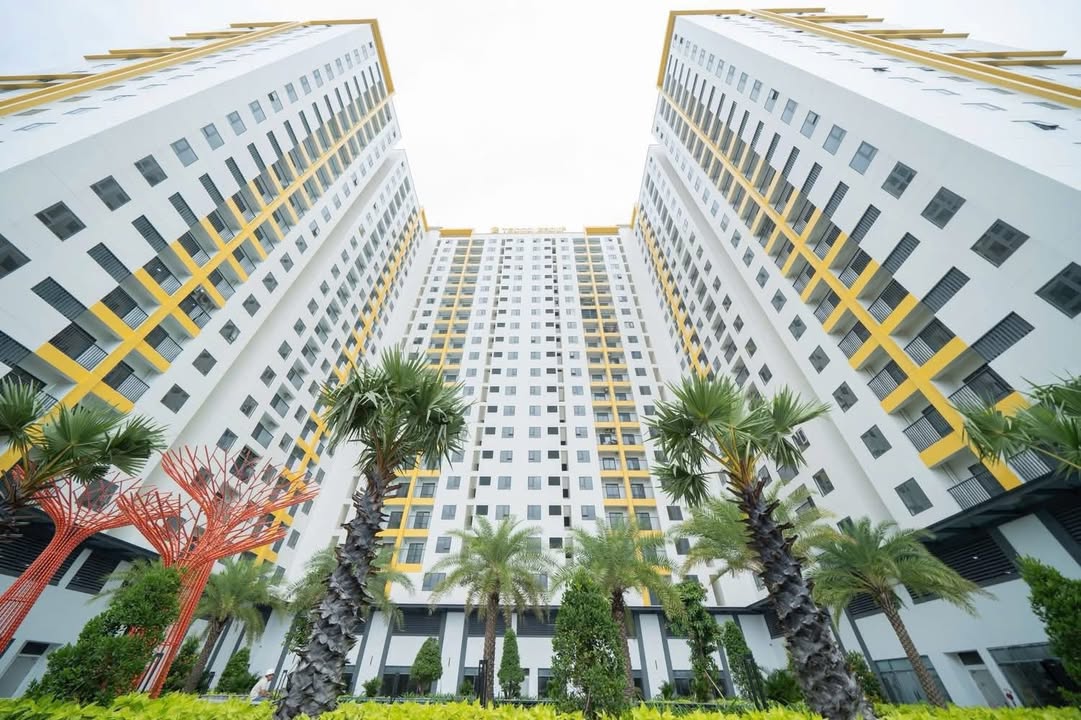 Cho thuê căn hộ TECCO FELICE HOME 2PN - 6 Triệu/tháng