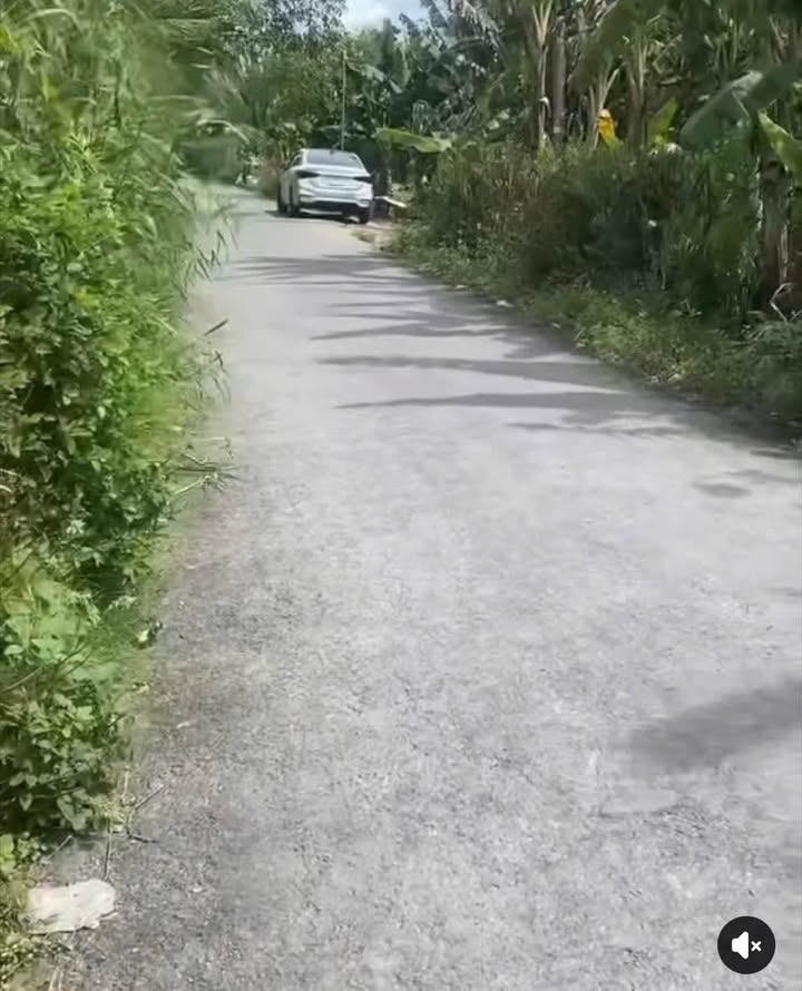 Bán Đất Vĩnh Long 5611m² Mặt Tiền Đường Nhựa, Giá 1.7 Tỷ - Đầu Tư Sinh Lời