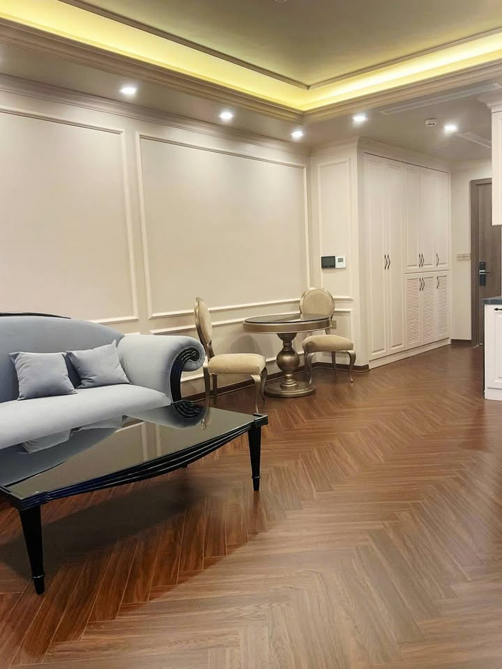 Cho thuê căn hộ BRG Trần Quang Khải, Hải Phòng - 60m², 1PN, Full nội thất