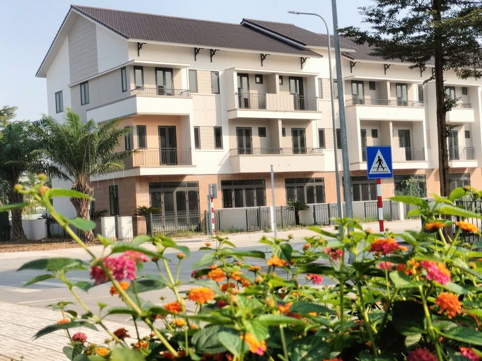 Shophouse 100m² Mặt Tiền 15.2m Ngay Ga Trung Mầu - Sẵn Sàng Kinh Doanh