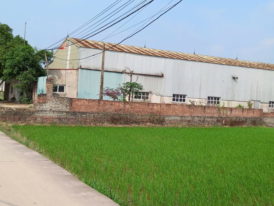 Cho thuê nhà xưởng 800m² tại Xã Tân Chi, Bắc Ninh - Sẵn sàng hoạt động