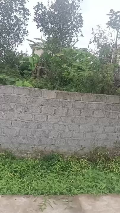 Bán Đất Xã Kỳ Sơn, Tân Kỳ, Nghệ An - 272m² Thổ Cư, Sổ Đỏ Sẵn Sàng