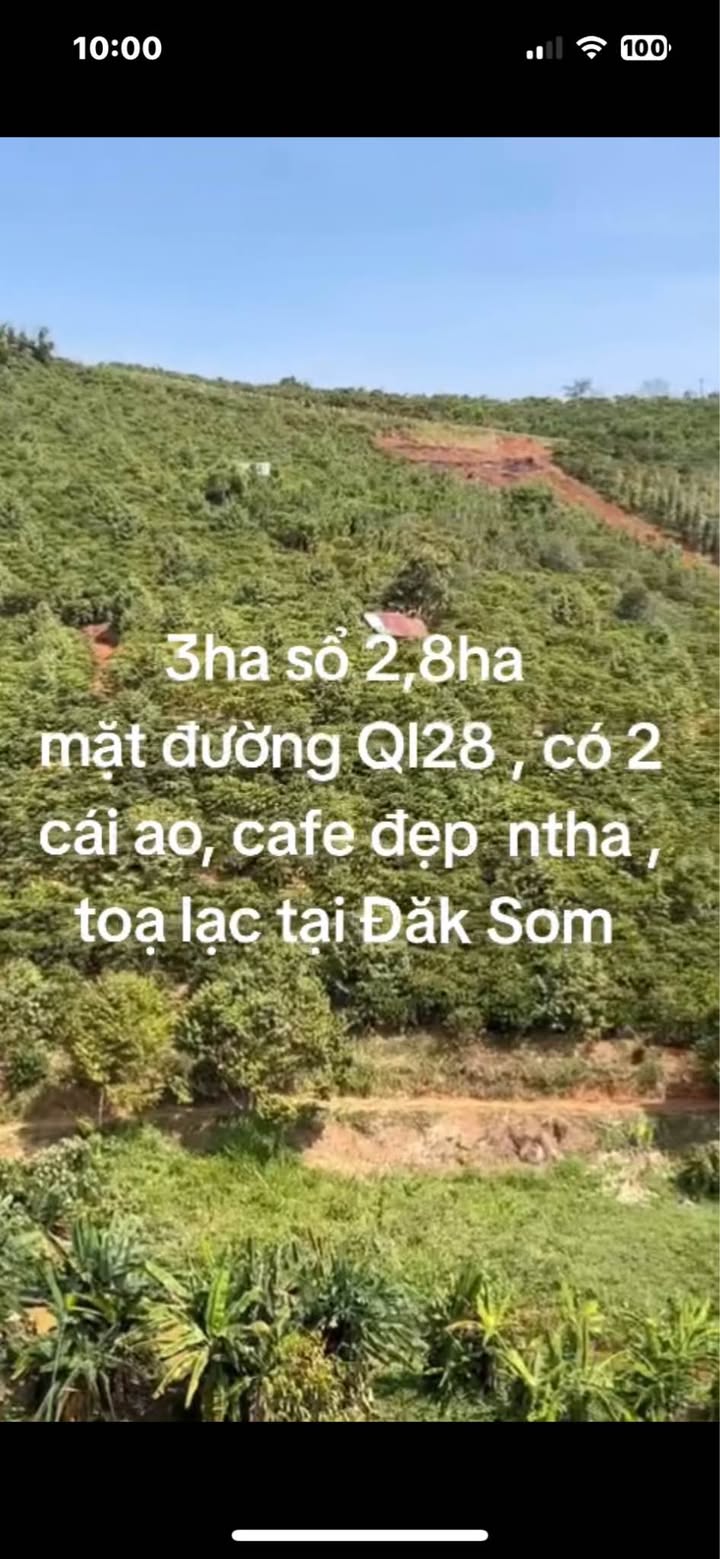 Bán Gấp Farm 2.8ha Mặt Tiền QL28 Quảng Lập - Tiềm Năng Sinh Lời Vượt Trội