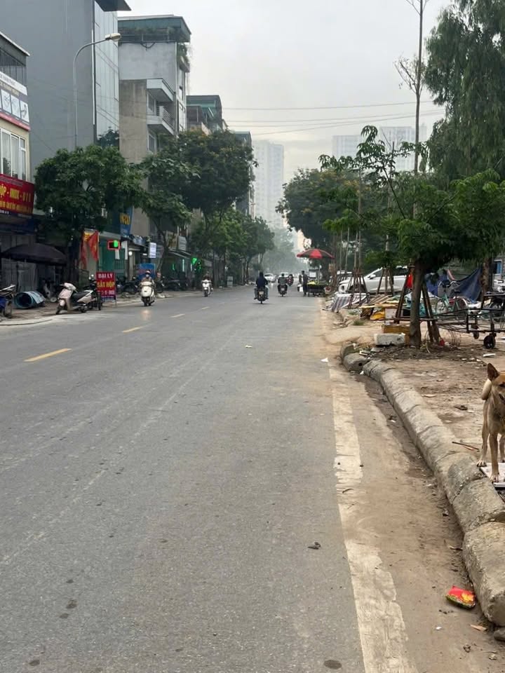 Đất Dịch Vụ Kiến Hưng 50m² - Lô Góc View Hồ Sen, Kinh Doanh Đắc Lợi