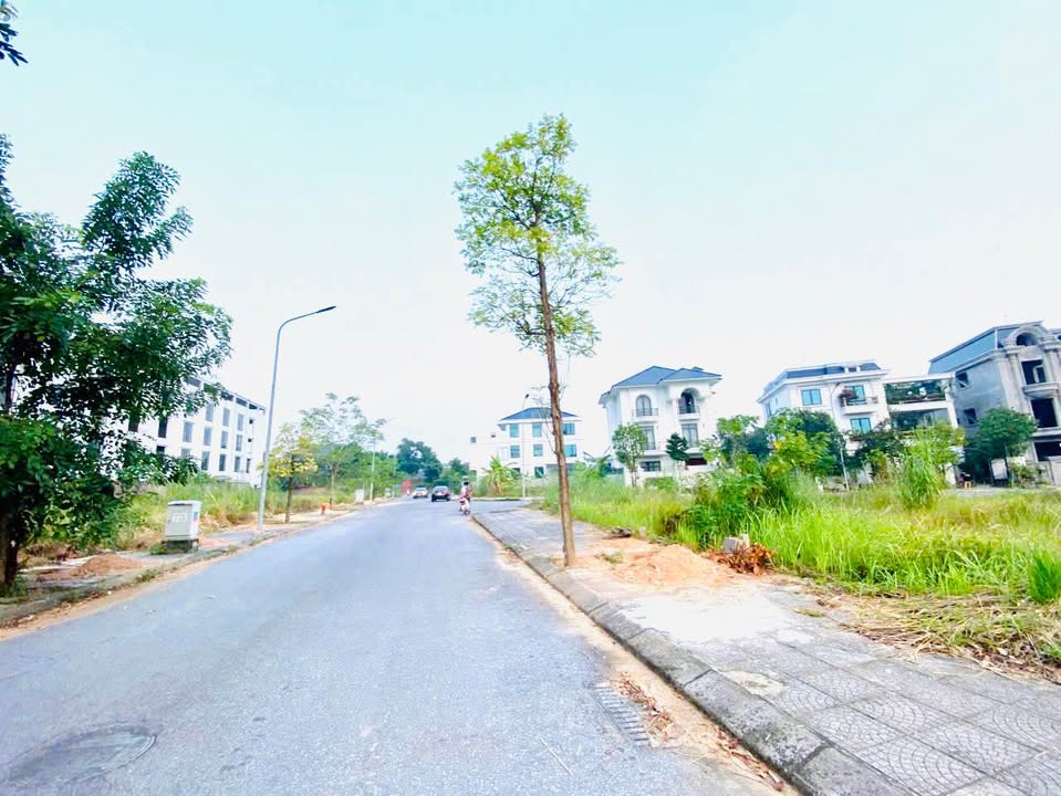 Đất Nền Park Hill Vĩnh Yên 100m² Sổ Đỏ - Hướng Nam, Giá Tốt