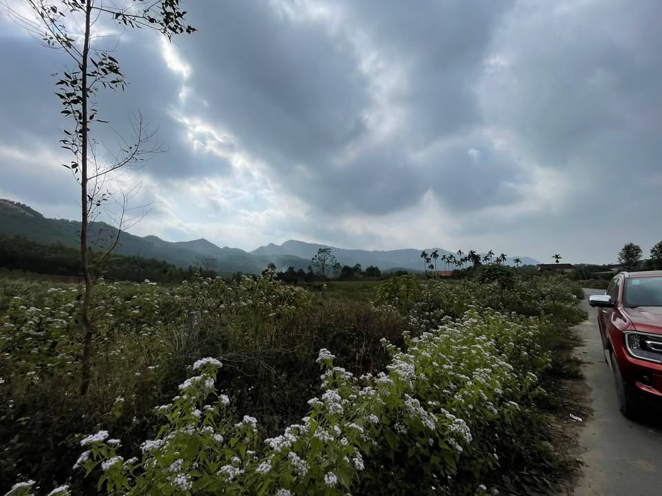 Bán Đất Vĩnh Phúc 11.492m² Mặt Tiền Rộng - Sẵn Sàng Xây Dựng