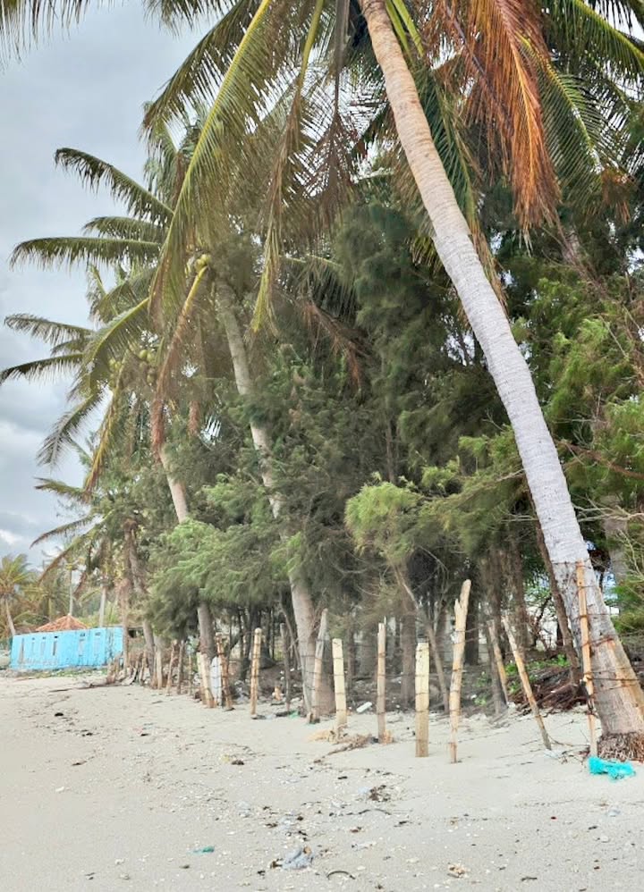 Đất Nền Góc 2 Mặt Tiền Ninh Thủy 619m² - Sổ Đỏ Full Thổ Cư, Gần Biển