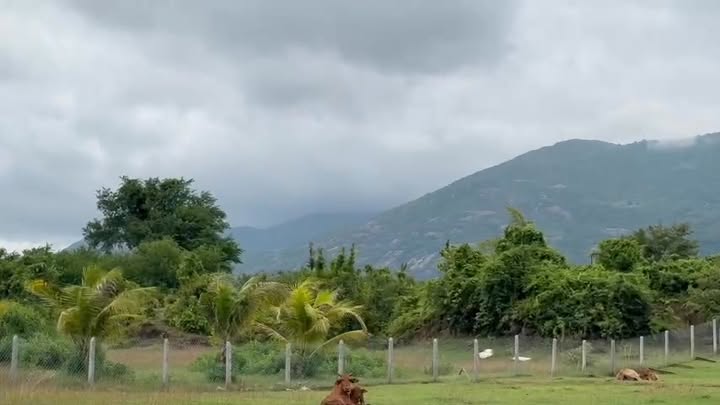 Đất Vườn 8579m² Cạnh QL1A, Cam Ranh - Sổ Hồng Sẵn Sàng