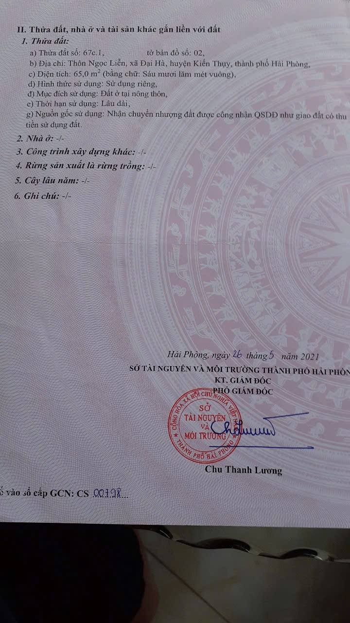 Đất nền Đại Hà - Kiến Thụy, 65m² - Mặt đường kinh doanh, 1 tỷ