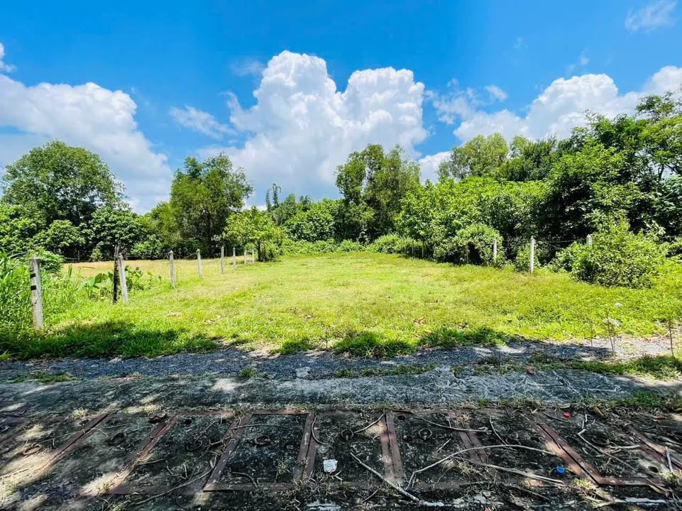 Đất Củ Chi 500m² Mặt Tiền Phạm Thị Liền - Sổ Hồng Riêng - Giá 3.5 Tỷ