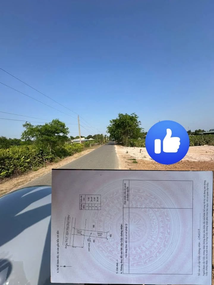 Đất Mặt Tiền Nhựa Hàm Chính 150m² - Giá Đầu Tư 389 Triệu