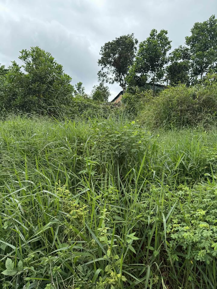 Đất nền 138m² Đắk R'lấp, Đắk Nông - Sổ đỏ thổ cư, giá 450 triệu