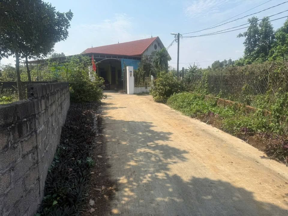 Đất Vườn Ba Vì 100m² Full Thổ Cư - Giá chỉ 600 triệu/lô