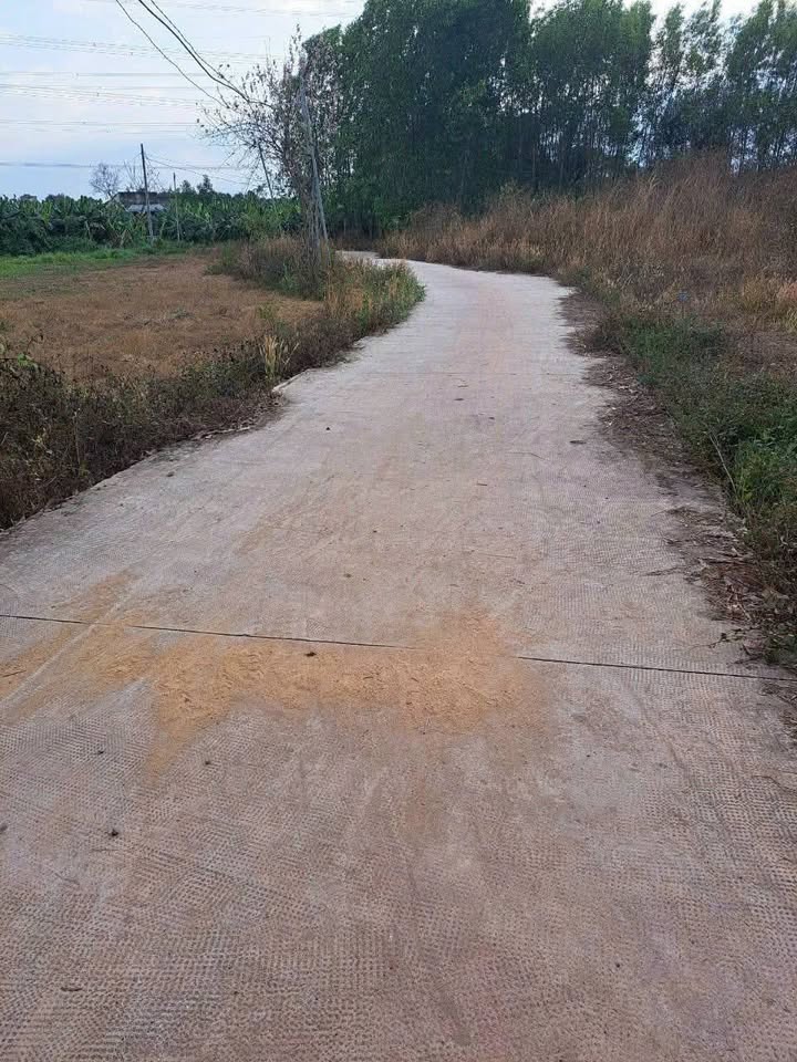 Đất nền Trảng Bom 2160m² giá 1.5 tỷ - Pháp lý rõ ràng