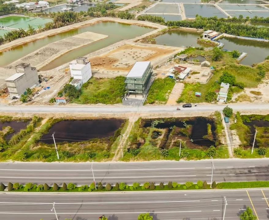 Đất Mặt Tiền Rừng Sác Cần Giờ 805m² - Giảm Sốc 25tr/m² - Đầu Tư Hấp Dẫn