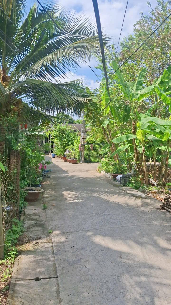 Đất nền Phường 5 Cai Lậy 76m² Sổ Hồng Riêng - Giá 630 triệu