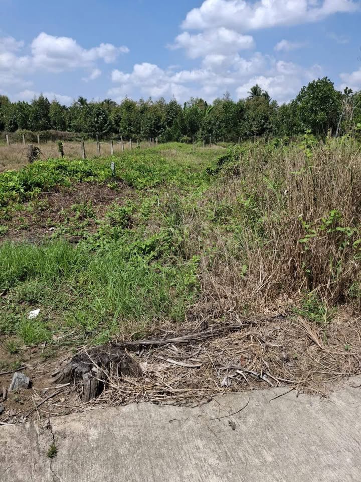 Bán Nền 190m² Đường Xe Hơi Ấp Thanh Bình, Tiền Giang - Giá 360 Triệu