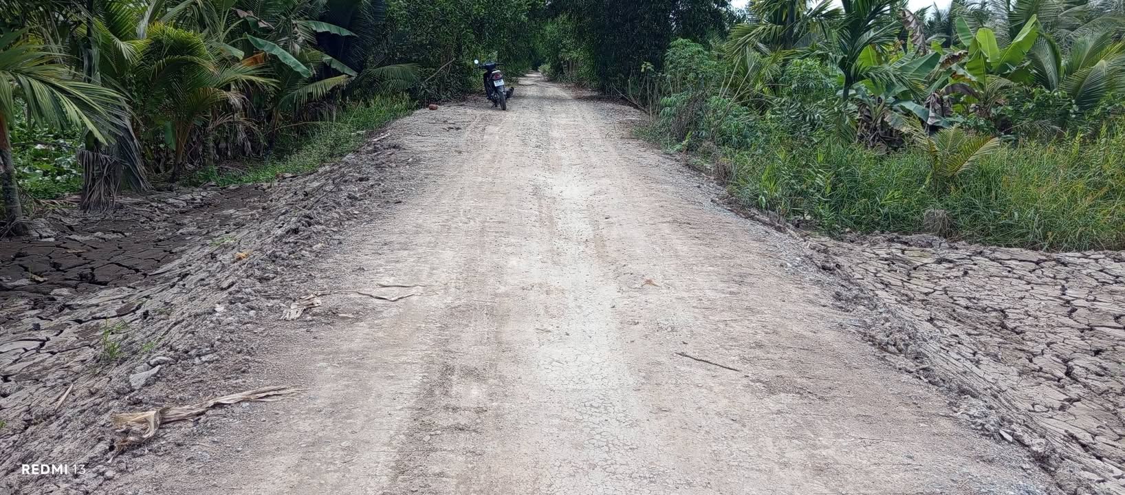 Đất nền Phước Lập, Tân Phước, Tiền Giang - 125m² giá 250 triệu, view sông